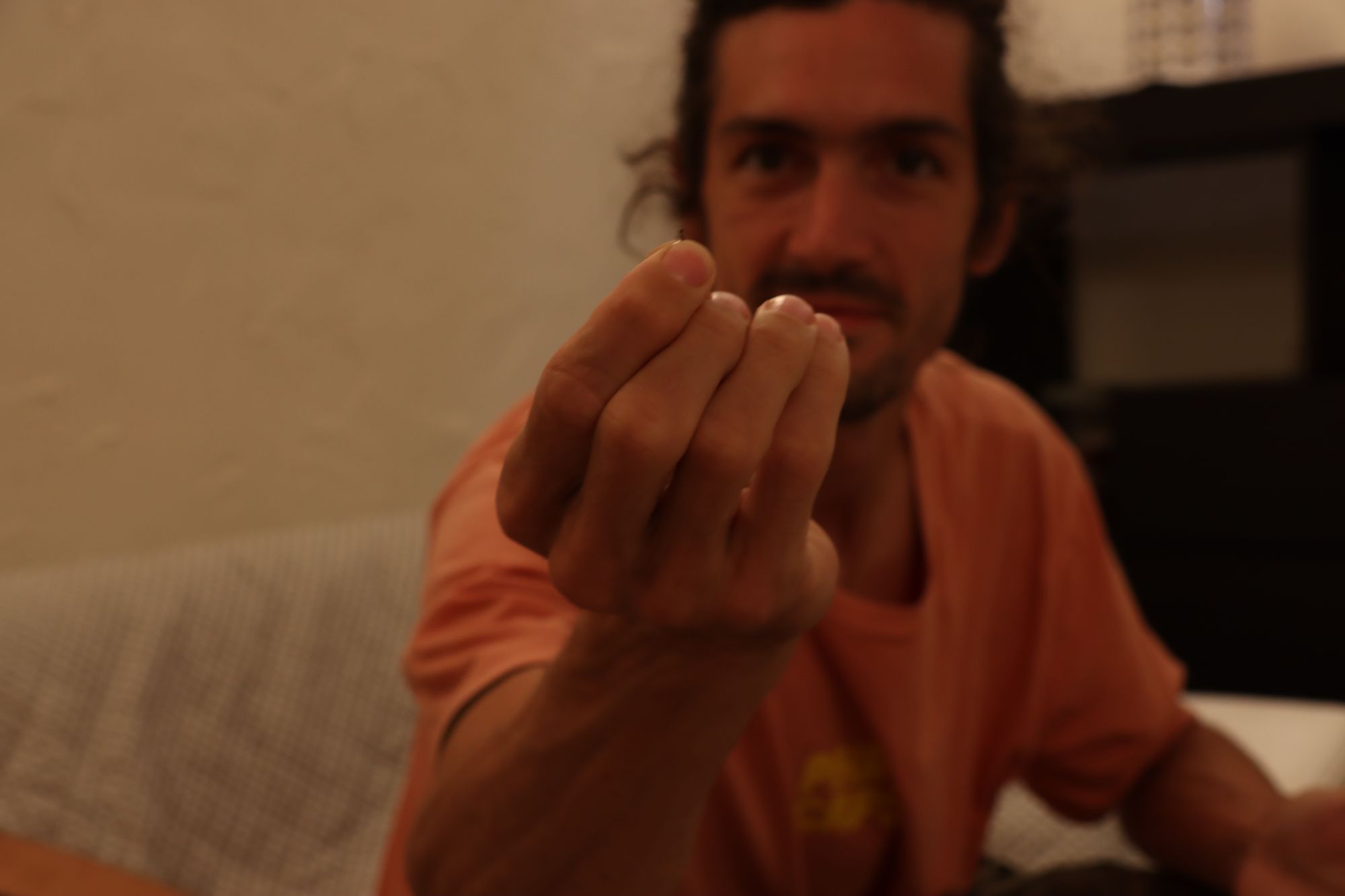 Saintes-Maries-de-la-Mer plage [Day #5]