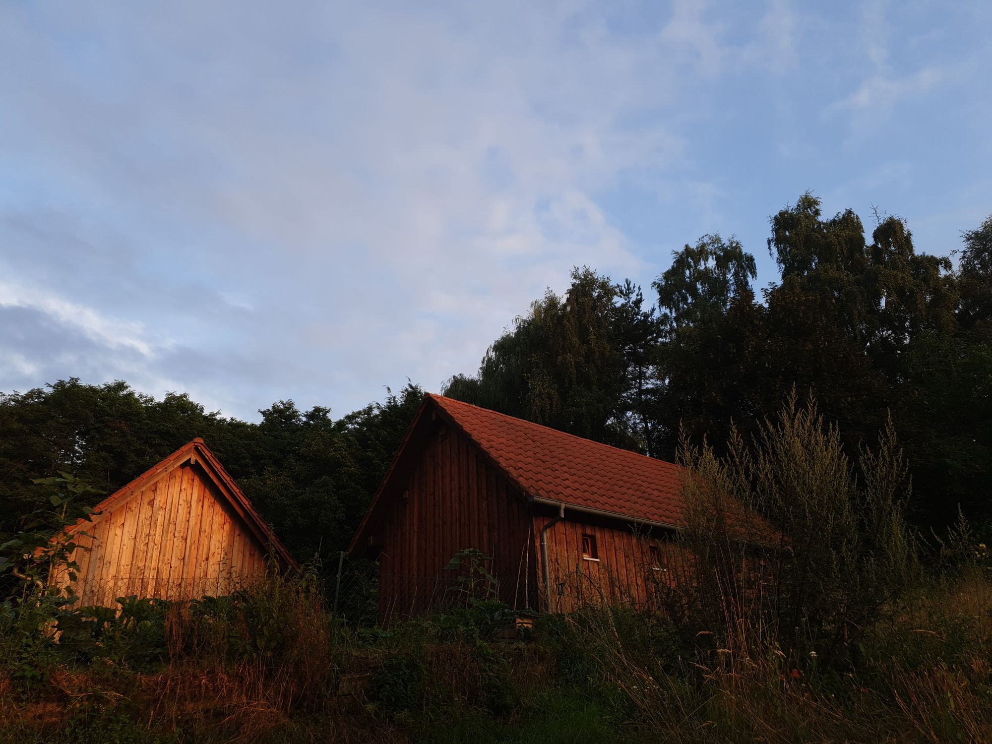 Morning at the monastery [Day #2]